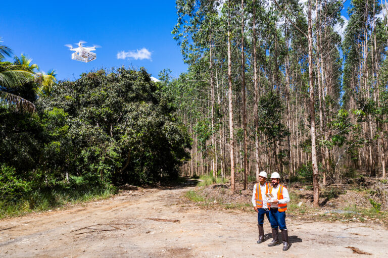 Eucalipto na Pecuária: Diversificação da produção e Renda Garantida